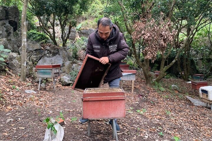 Easy Rider Cat Ba National Park & Caving Tour - 3-Hour Adventure